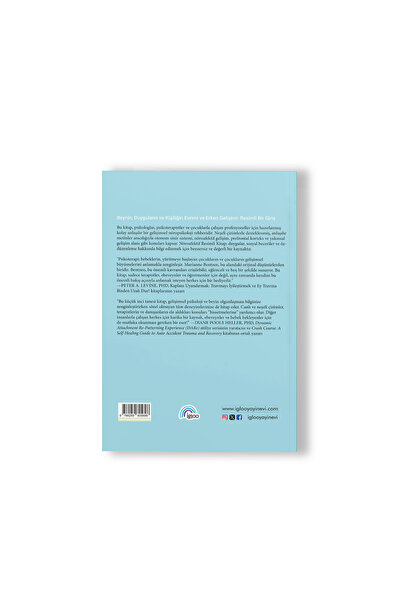 IGLOO Nöroafektif Resimli Kitap Gelişimsel Nöropsikolojiye Görsellerle Giriş