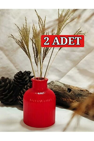 E.M.S AVM 2 Adet Vazo Çizgili Vazo Pampas Vazosu Yapay Ve Kuru Çiçek Vazosu Kırmızı