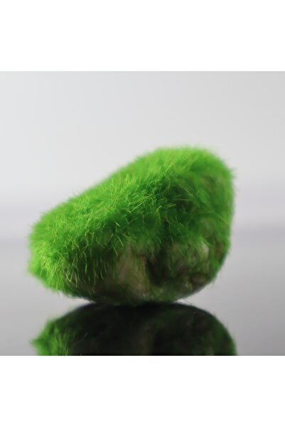 Generic Artificial moss covered stone for terrariums and aquariums