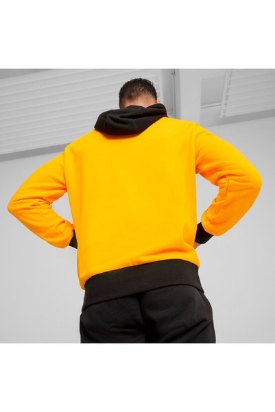 Puma Posterize 2.0 Men's Hooded Sweatshirt