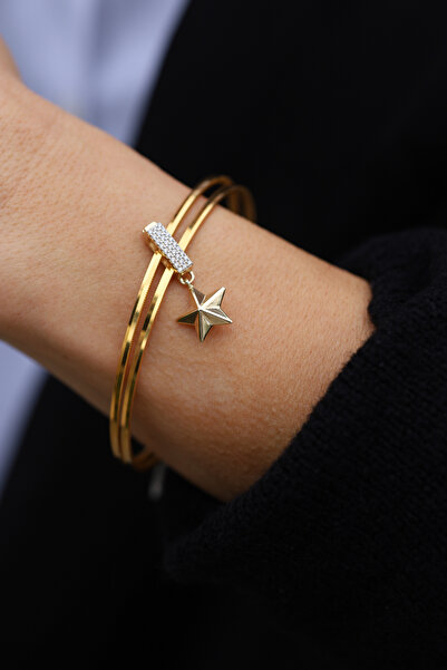 Yenigün Kuyumculuk 14 Ayar Altın Ema Yıldız Modeli Ajda Ve Kolye Charm