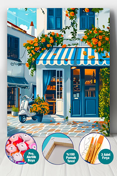 Picasso Sayılarla Boyama Numaralı Tuval Seti Fırça Boya Dahil 40x50 Cm Kuşadası