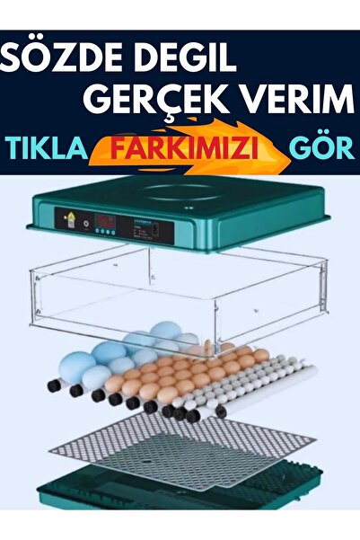 tosbai Kaz Otomatik Kuluçka Makinesi, 66 Kaz Yumurta Kapasiteli (ÜCRETSİZ DAN...