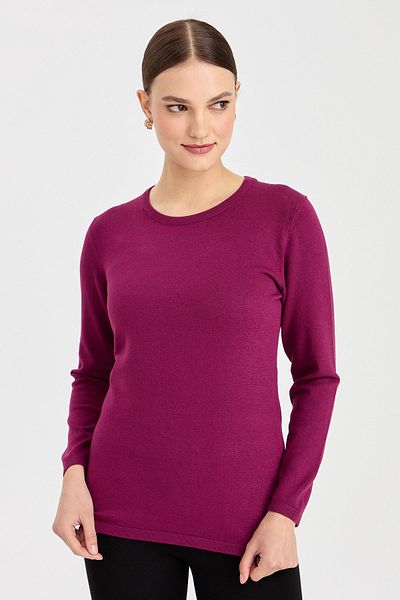 Desen Triko Bluză cu mânecă lungă de bază din Lycra pentru damă, cu decolteu uniform, prune
