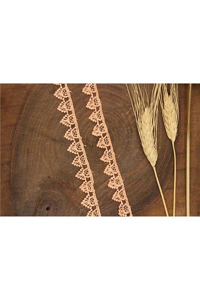 Gül Guipure 1103 - 9 Mt Salmon Colored Silver