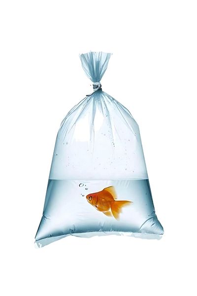 TiriStore Tiri Store - Clear Nylon Bag, 23X36 Cm, 1 kg