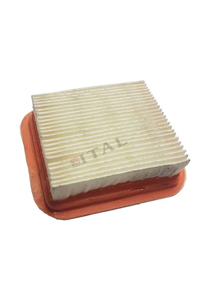 Oleomac High Branch Pruning Air Filter Oleomac Ppx270/Bc280/Bc320/Bc380/Bc420