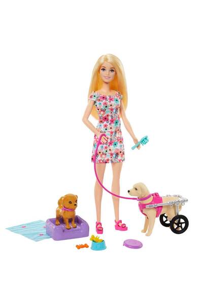 Barbie ve Engelli Köpeği Oyun Seti HTK37