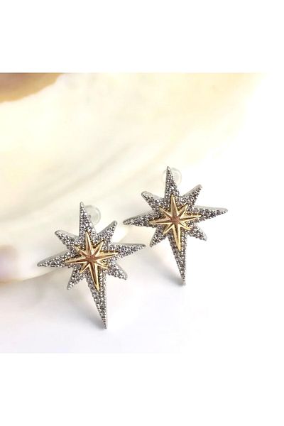 Manu Collection Women's Steel Silver Gold Stone North Star Earrings
