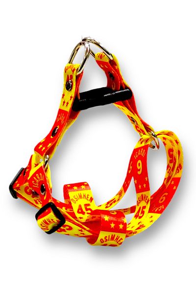 Angelapets Dog Harness - Travel Strap Set Cars Series