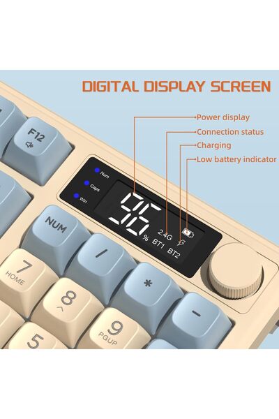 Sarftech Freewolf M96 2.4g Bt5.0 Çift Bağlantılı Tft Led Ekranlı Reinbow Gaming Oyuncu Klavye