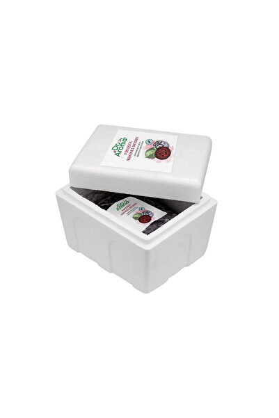 Dr.Aronia Donmuş Aronya Meyvesi (1 kg)