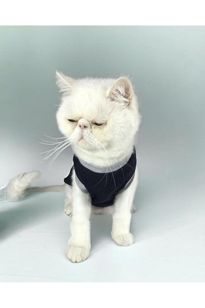 Kemique Cat Navy Sports Athlete Cat Clothing (Large / 3 - 3.5 kg)
