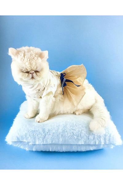 Kemique Cat Dress - Cat Creamy Navy, Tutu, X-Large (4-5 kg)