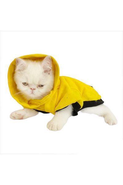 Kemique Yellow Lux Duo Sweatshirt Hooded Cat Outfit Cat Sweatshirt