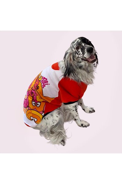 Kemique Cute Girl Special Sweatshirt Orta ve Büyük Irklar İçin