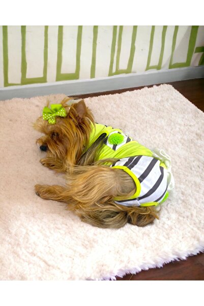 Kemique طقم تي شيرت وملابس داخلية من Lime Fuzz زي للكلاب