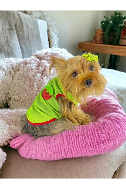 Kemique Pink Strawberry Atlet Köpek Kıyafeti Köpek Elbisesi