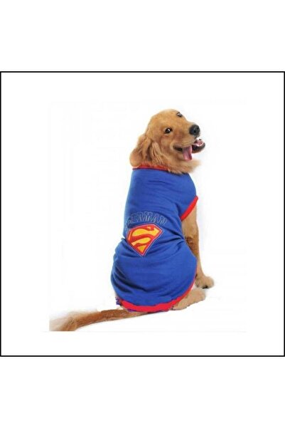 Kemique Superman Tişört Büyük Irk Köpekler Için