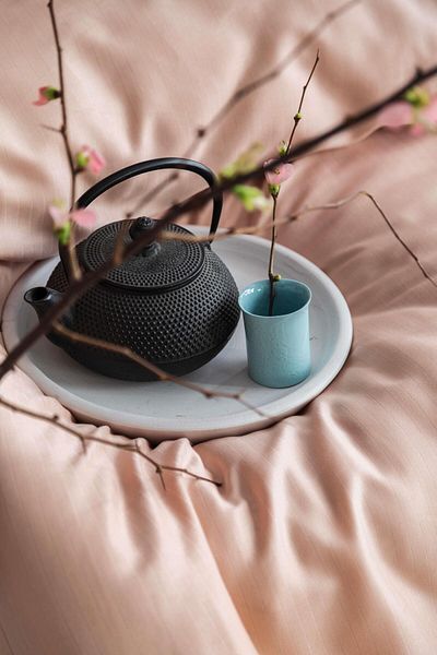 Apricitas HOME King Size Ellie Blush Bamboo Duvet Cover Set