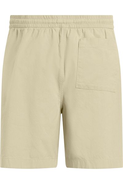 Calvin Klein Men Brown & Green Shorts