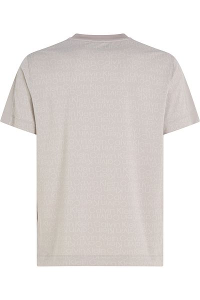 Calvin Klein Logo Print Short Sleeves T-Shirt