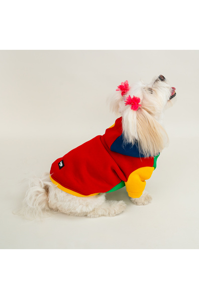 Buddy Store Premium Kapüşonlu Kedi ve Köpek Sweatshirt | Renkli Şık Pet Elbisesi