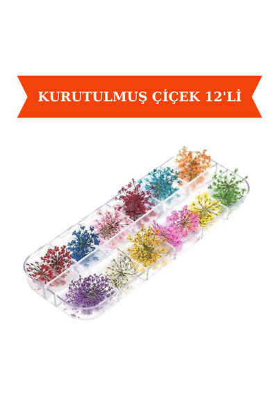 Güzellik Deposu Protez Tırnak Kurutulmuş Çiçek Parçaları 12'li Tırnak Süsleme...