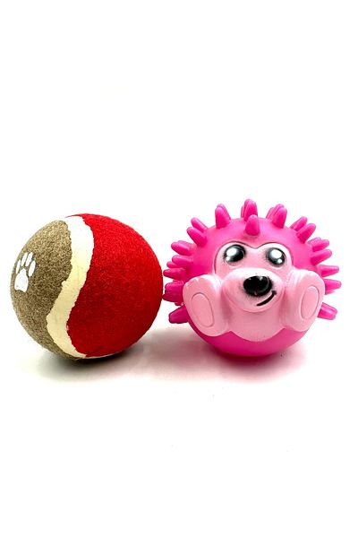Tasma Market Hedgehog Ball and Tennis Dog Play Ball Set of 2
