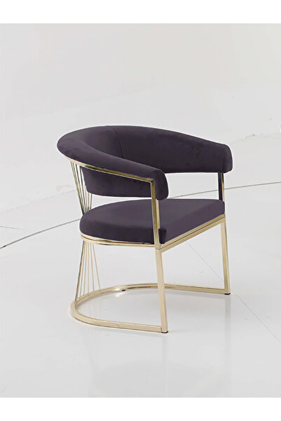 Rozexi Rio Çay Seti Tekli Koltuk Sandalye Berjer Oturma Odası Kafe Antre Hol Ofis Gold Metal