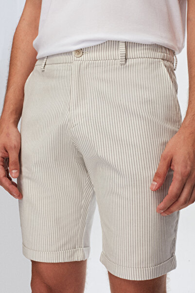 D'S Damat Ds Damat Slim Fit Gray Straight Striped Shorts