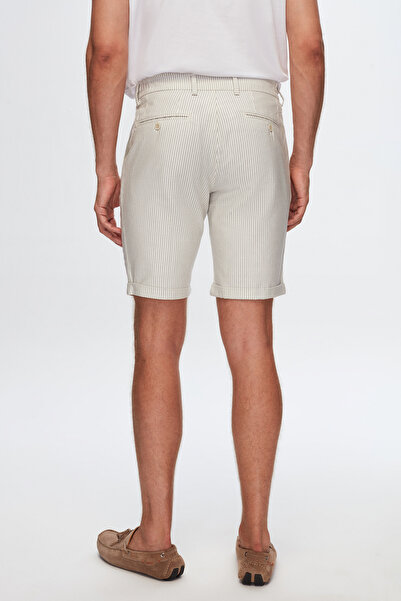D'S Damat Ds Damat Slim Fit Gray Straight Striped Shorts