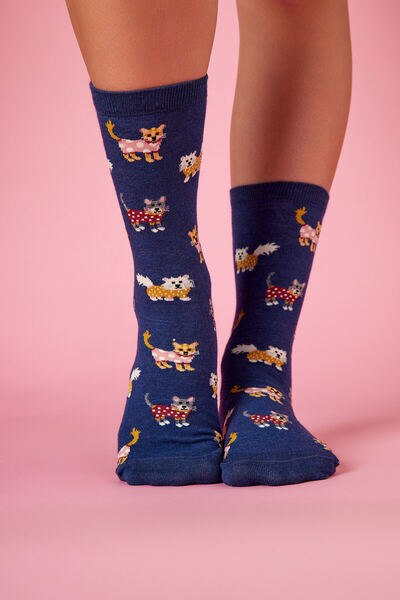Soul of Anatolia Elbiseli Kedi Desenli Renkli Çorap