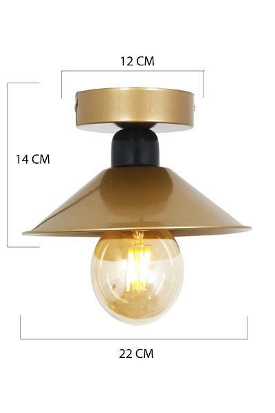 Taşcan Aydınlatma Ufo Single Antique Black Ceiling Mounted/Plafone Chandelier