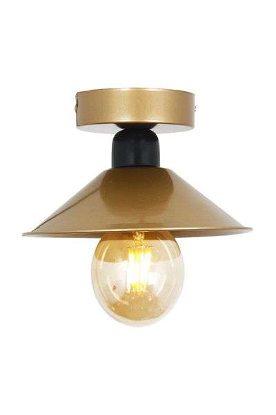 Taşcan Aydınlatma Ufo Single Antique Black Ceiling Mounted/Plafone Chandelier