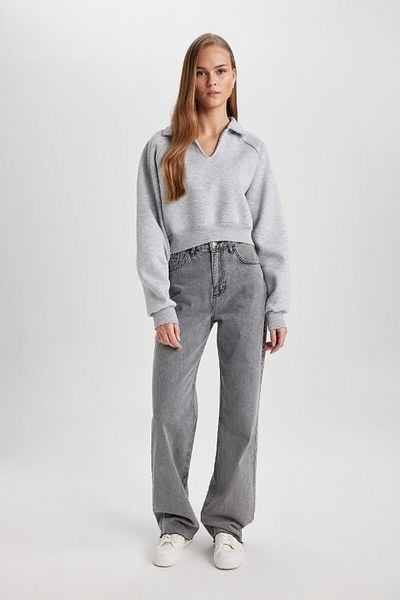 DeFacto Regular Fit Polo Neck Basic Plain Thick Sweatshirt C4583Ax24Sm