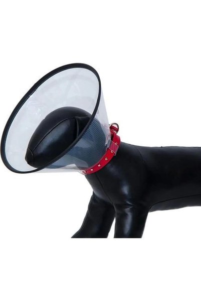 Bustark Cat Dog Comfy Collar Stitched Collar 10cm