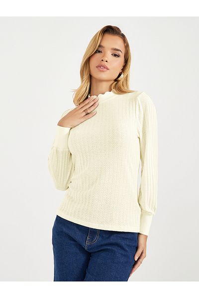 Styli High Neck Pointelle Knit Top