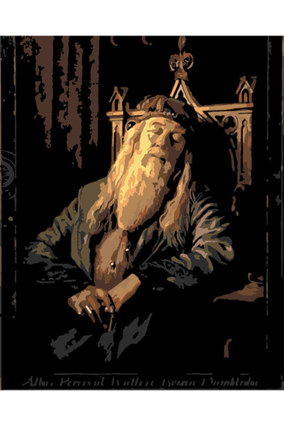 wombhobby Dumbldore Sayılarla Boyama Seti 40x50 Cm Çerçevesiz RULO ( Kasnaksız )