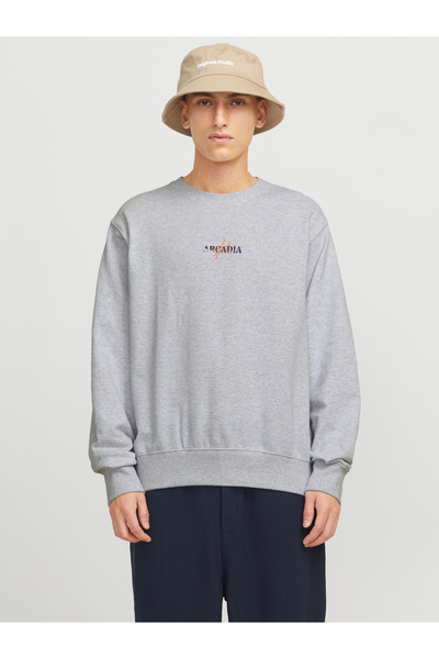 Jack & Jones JJECHARGE GRAPHIC SWEAT O-N STYD AW24 LN