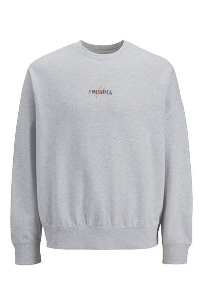 Jack & Jones JJECHARGE GRAPHIC SWEAT O-N STYD AW24 LN