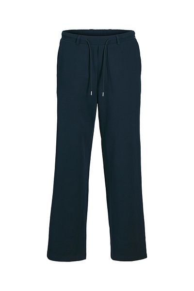 Jack & Jones JPSTBILL JJEZRA TAPERED STYD AW24 LN