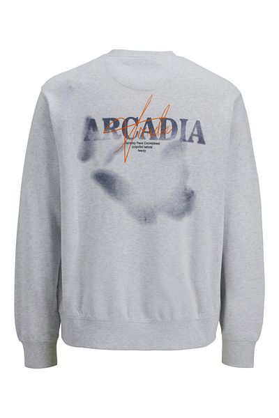 Jack & Jones JJECHARGE GRAPHIC SWEAT O-N STYD AW24 LN