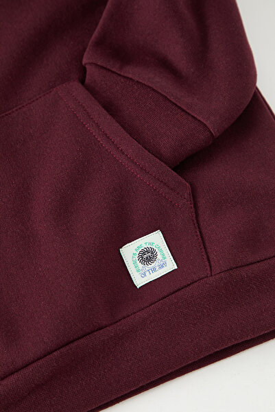 TRENDYOLKIDS Boy's Knitted Sweatshirt - Brown, Back Printed Tkdaw25Sw00127