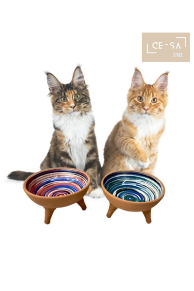 cesastore 2-Piece Footed Patterned Glazed Pottery Cat-Dog Food Bowl
