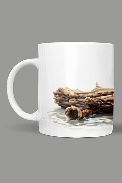 Fizello Cute Dinosaurs - Cute Dinosaur Themed Mug