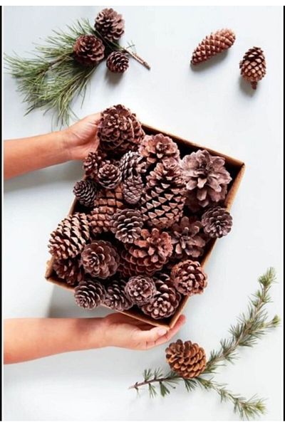 PartAntalya Natural Unpainted Medium Size Cone Christmas Dining Table and Pine Ornament - 10 Pieces