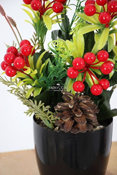 Yapay Çiçek Deposu Изкуствена коледна украса за маса Кокина 30 см (черна саксия)