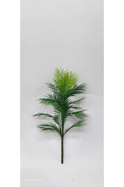 İremÇiçekçilik 20'li Drc Areka yaprağı (saksısız) - Premium