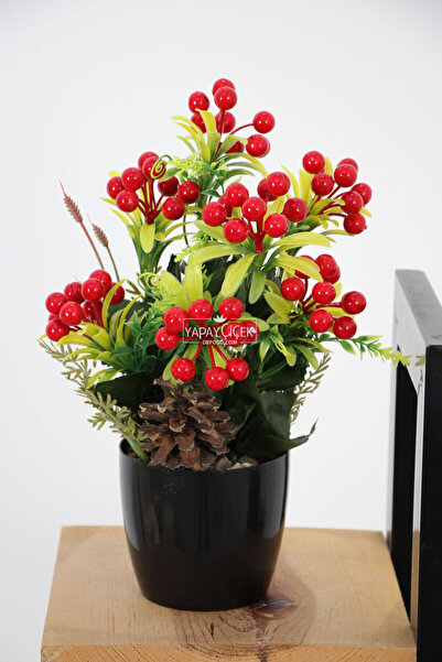 Yapay Çiçek Deposu Изкуствена коледна украса за маса Кокина 30 см (черна саксия)